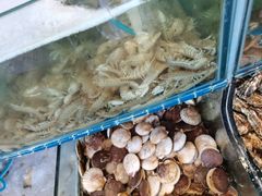 -蟹谢蒸鲜自助餐厅