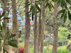 -人民公园(罗湖区)