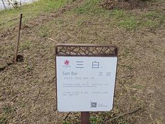 -苏州太湖国家湿地公园