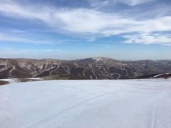 -密苑云顶乐园