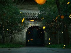 -灵谷景区