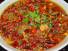 -陈麻婆豆腐总店