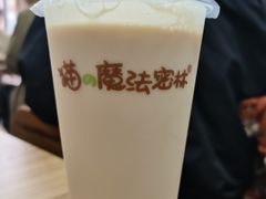 -猫的魔法密林(衣裳街店)