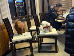 -华冠悠岚·庭院餐厅(青城后山店)