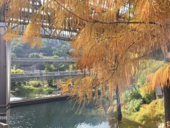 -梅峰山地公园