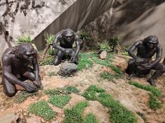 -北京周口店北京人遗址博物馆
