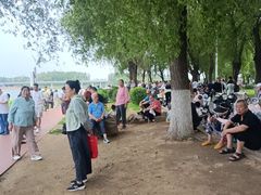 -丁香湖公园
