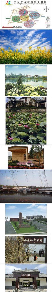 景点-三圣花乡旅游区