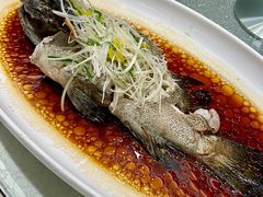-龙悦湾酒家·八阵鱼生·渔人码头店