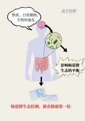 -安吉拉青春化管理中心