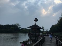 -大湾区中央湿地公园