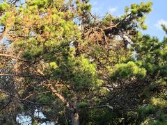 -长春市南湖公园