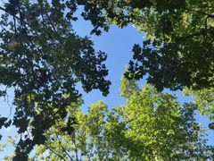 -春晖园度假酒店温泉