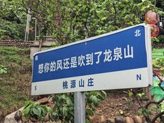 -桃源山庄·摘樱桃·柴火鸡·烧烤团建(龙泉山店)