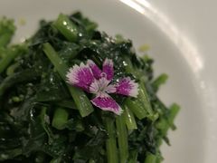 -红菜坊·烤鸭·川鲁宴(石园店)
