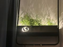 -华夏良子·足道SPA艾灸(铁道大厦店)