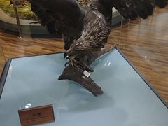 -陕西自然博物馆