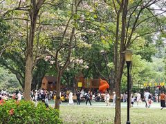 -东莞植物园