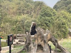 -杭州野生动物世界