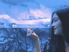 -暹罗海洋世界