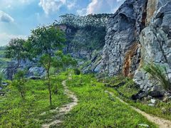 -黄埔油麻山森林公园