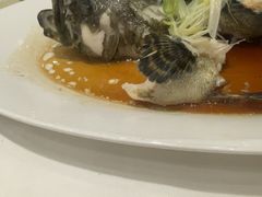 -翠园(北京王府中环店)