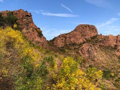 -红山国家森林公园