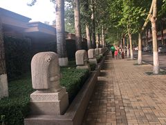 -春晖园度假酒店温泉