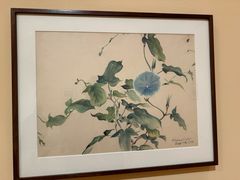 -旧金山现代艺术博物馆