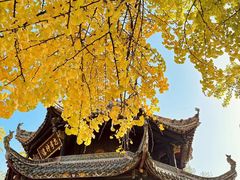 -青羊宫