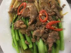 牛肉炒芥菜-阿钊浮豆腐