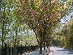 -仙海旅游度假区