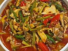 -易老妈蹄花.特色川菜(人民公园总店)