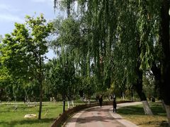 -莲花池公园
