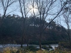 -木兰云雾山