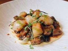 轻煎带子-OLLA 西班牙餐厅(丰盛里店)