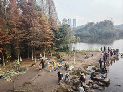 -重庆彩云湖湿地公园