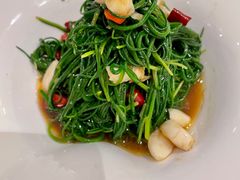 -徽州小镇(高新店)