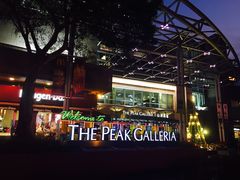 -翠华餐厅(山顶道店)