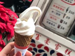 -富豪雪糕车流动点(尖沙咀)