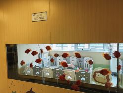 -杭州贝瑞斯美华妇儿医院·早孕·产检·儿科