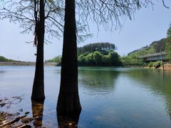 -青龙山国家森林公园