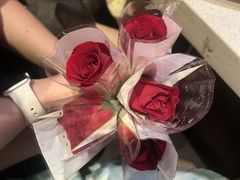 -海底捞火锅鲜切牛肉主题店(长寿路店)