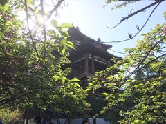 -西安青龙寺遗址景区