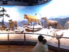 -陕西自然博物馆