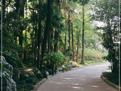 -上海市龙华烈士陵园