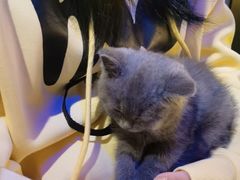 -解个谜沉浸剧情密室(天河店)