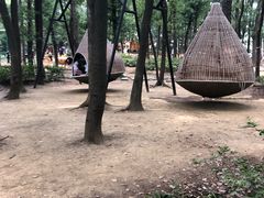 -东湖落雁景区
