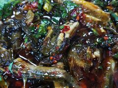 -周鱼鳅饭店
