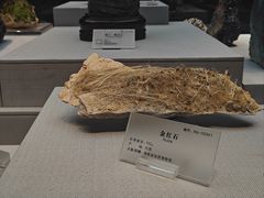 -湖南省地质博物馆